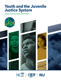 Youth and the Juvenile Justice System: 2022 National Report