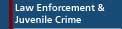 Law Enforcement & Juvenile Crime