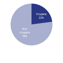 Mentee ethnicity, August 2018