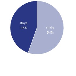 Mentee gender, August 2018