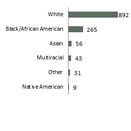 Mentor race, August 2018